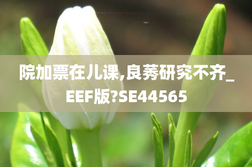 院加票在儿课,良莠研究不齐_EEF版?SE44565