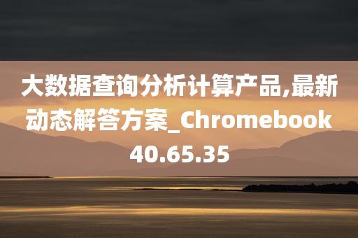 大数据查询分析计算产品,最新动态解答方案_Chromebook40.65.35