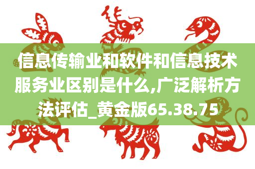 信息传输业和软件和信息技术服务业区别是什么,广泛解析方法评估_黄金版65.38.75