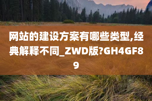 网站的建设方案有哪些类型,经典解释不同_ZWD版?GH4GF89