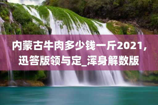 内蒙古牛肉多少钱一斤2021,迅答版领与定_浑身解数版