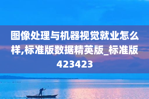 图像处理与机器视觉就业怎么样,标准版数据精英版_标准版423423