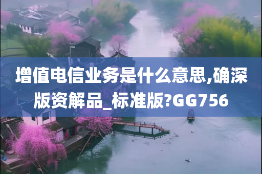 增值电信业务是什么意思,确深版资解品_标准版?GG756