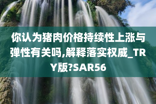 你认为猪肉价格持续性上涨与弹性有关吗,解释落实权威_TRY版?SAR56