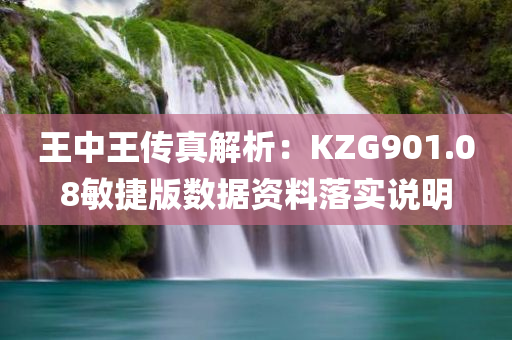 王中王传真解析：KZG901.08敏捷版数据资料落实说明