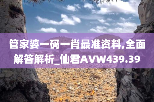 管家婆一码一肖最准资料,全面解答解析_仙君AVW439.39