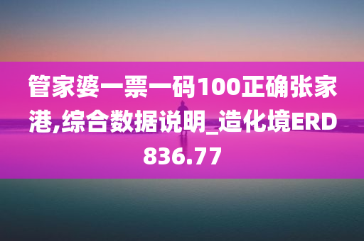 管家婆一票一码100正确张家港,综合数据说明_造化境ERD836.77