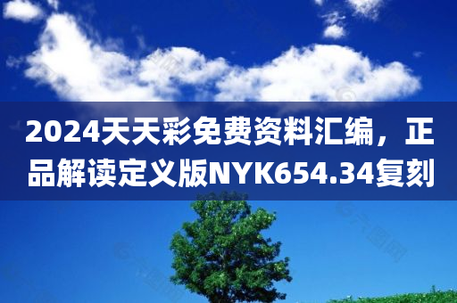 2024天天彩免费资料汇编，正品解读定义版NYK654.34复刻