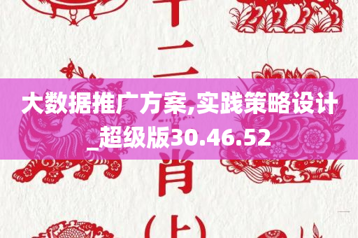 大数据推广方案,实践策略设计_超级版30.46.52