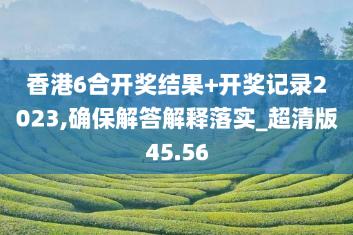 香港6合开奖结果+开奖记录2023,确保解答解释落实_超清版45.56