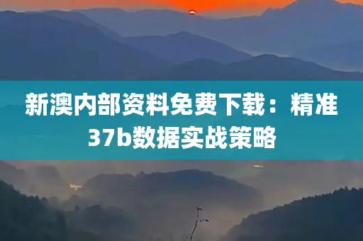 新澳内部资料免费下载：精准37b数据实战策略