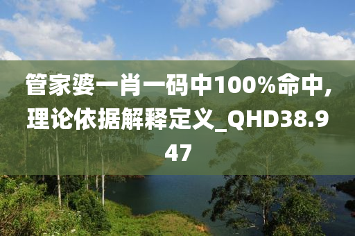 管家婆一肖一码中100%命中,理论依据解释定义_QHD38.947