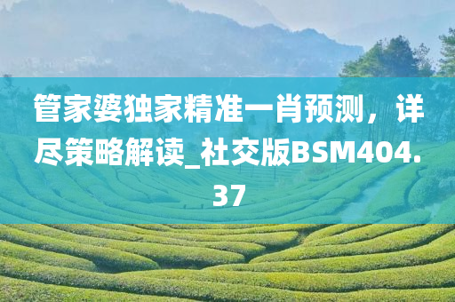 管家婆独家精准一肖预测，详尽策略解读_社交版BSM404.37