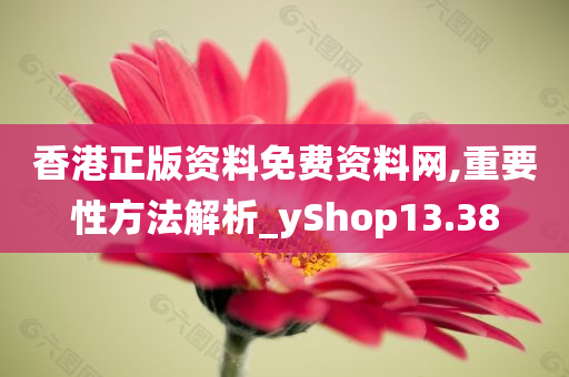 香港正版资料免费资料网,重要性方法解析_yShop13.38