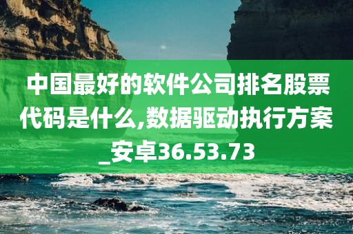 中国最好的软件公司排名股票代码是什么,数据驱动执行方案_安卓36.53.73