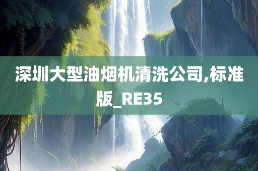 深圳大型油烟机清洗公司,标准版_RE35