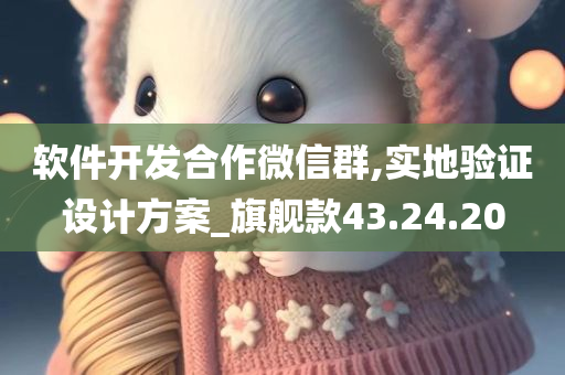 软件开发合作微信群,实地验证设计方案_旗舰款43.24.20