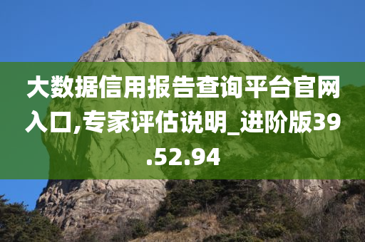 大数据信用报告查询平台官网入口,专家评估说明_进阶版39.52.94