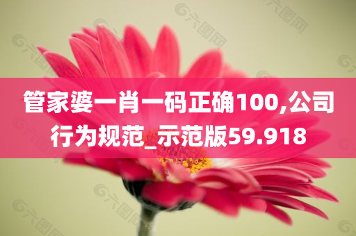 管家婆一肖一码正确100,公司行为规范_示范版59.918