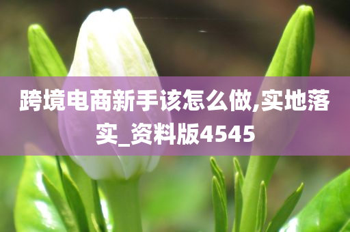 跨境电商新手该怎么做,实地落实_资料版4545