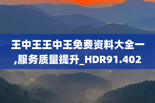 王中王王中王免费资料大全一,服务质量提升_HDR91.402