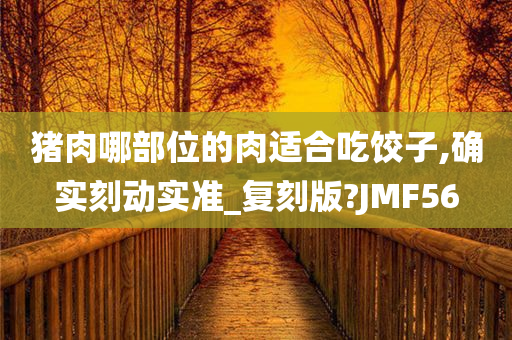 猪肉哪部位的肉适合吃饺子,确实刻动实准_复刻版?JMF56