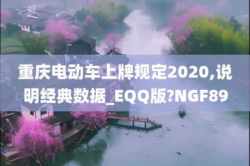 重庆电动车上牌规定2020,说明经典数据_EQQ版?NGF89