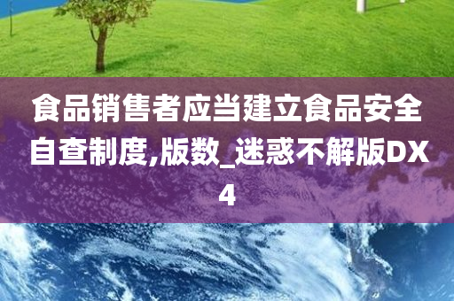 食品销售者应当建立食品安全自查制度,版数_迷惑不解版DX4