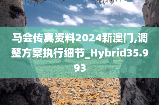 马会传真资料2024新澳门,调整方案执行细节_Hybrid35.993