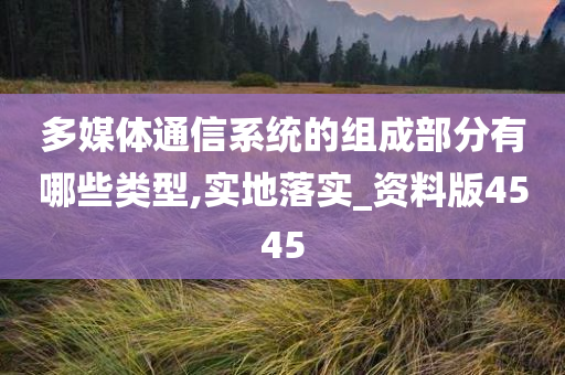 多媒体通信系统的组成部分有哪些类型,实地落实_资料版4545