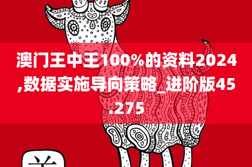 澳门王中王100%的资料2024,数据实施导向策略_进阶版45.275