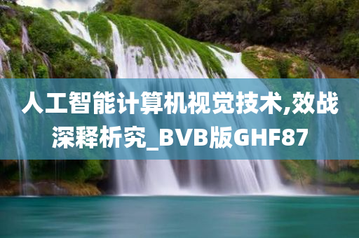 人工智能计算机视觉技术,效战深释析究_BVB版GHF87