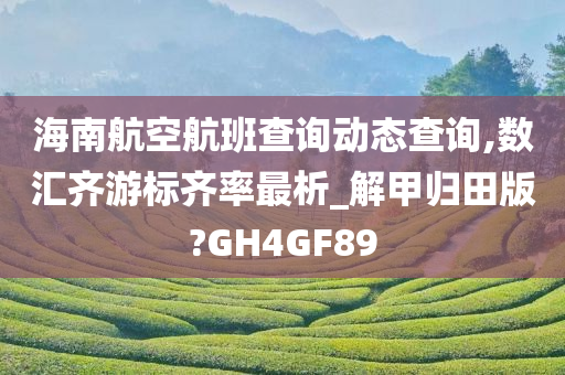 海南航空航班查询动态查询,数汇齐游标齐率最析_解甲归田版?GH4GF89