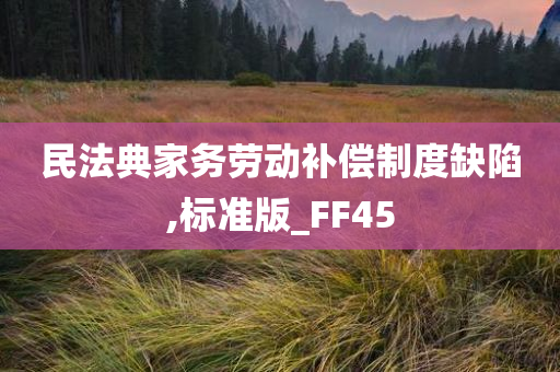 民法典家务劳动补偿制度缺陷,标准版_FF45