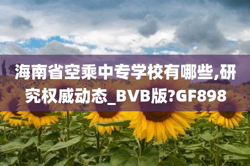 海南省空乘中专学校有哪些,研究权威动态_BVB版?GF898