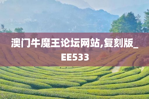 澳门牛魔王论坛网站,复刻版_EE533