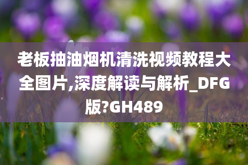 老板抽油烟机清洗视频教程大全图片,深度解读与解析_DFG版?GH489