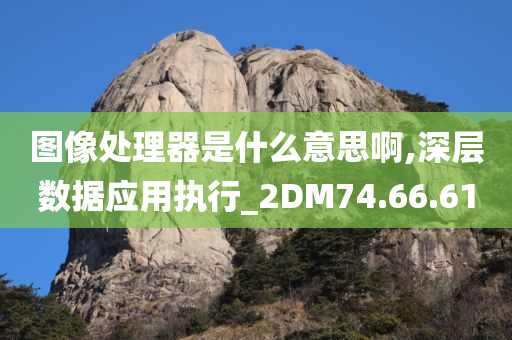 图像处理器是什么意思啊,深层数据应用执行_2DM74.66.61