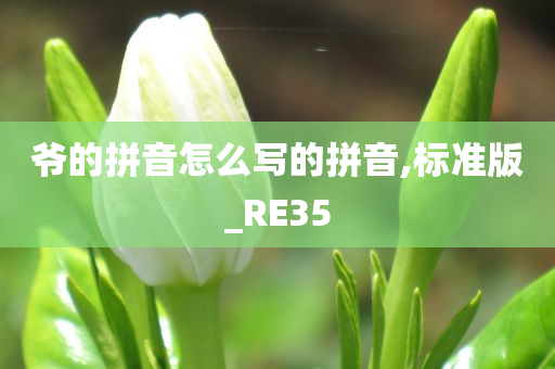 爷的拼音怎么写的拼音,标准版_RE35