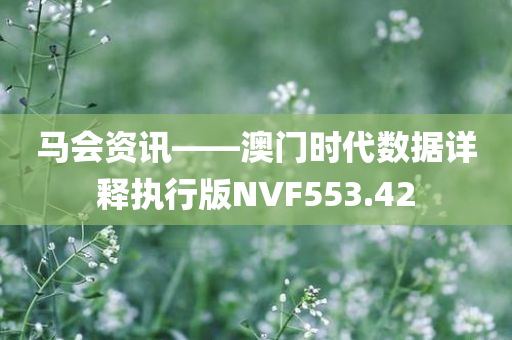 马会资讯——澳门时代数据详释执行版NVF553.42