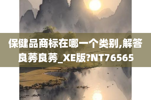 保健品商标在哪一个类别,解答良莠良莠_XE版?NT76565