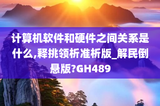 计算机软件和硬件之间关系是什么,释挑领析准析版_解民倒悬版?GH489