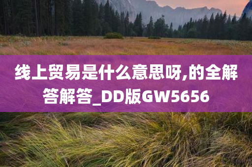 线上贸易是什么意思呀,的全解答解答_DD版GW5656