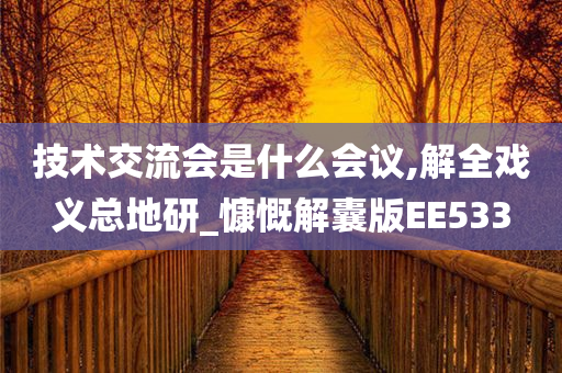 技术交流会是什么会议,解全戏义总地研_慷慨解囊版EE533