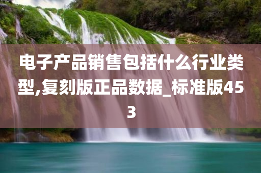 电子产品销售包括什么行业类型,复刻版正品数据_标准版453