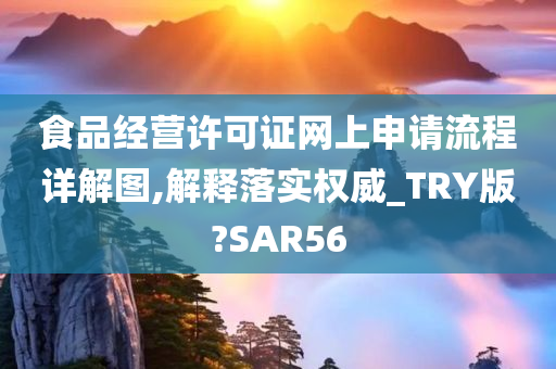 食品经营许可证网上申请流程详解图,解释落实权威_TRY版?SAR56