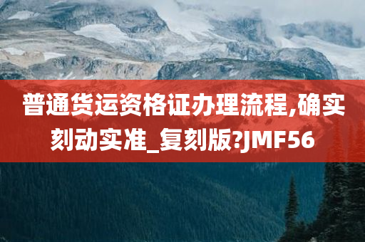 普通货运资格证办理流程,确实刻动实准_复刻版?JMF56