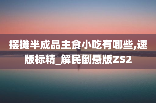 摆摊半成品主食小吃有哪些,速版标精_解民倒悬版ZS2