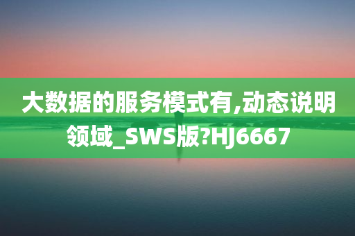 大数据的服务模式有,动态说明领域_SWS版?HJ6667