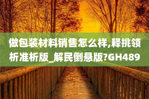 做包装材料销售怎么样,释挑领析准析版_解民倒悬版?GH489